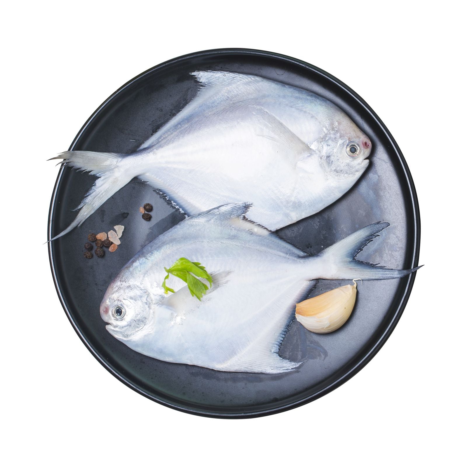 Frozen White Pomfret for Fry, Grill & Curry – Cleaned & Ready – 1kg