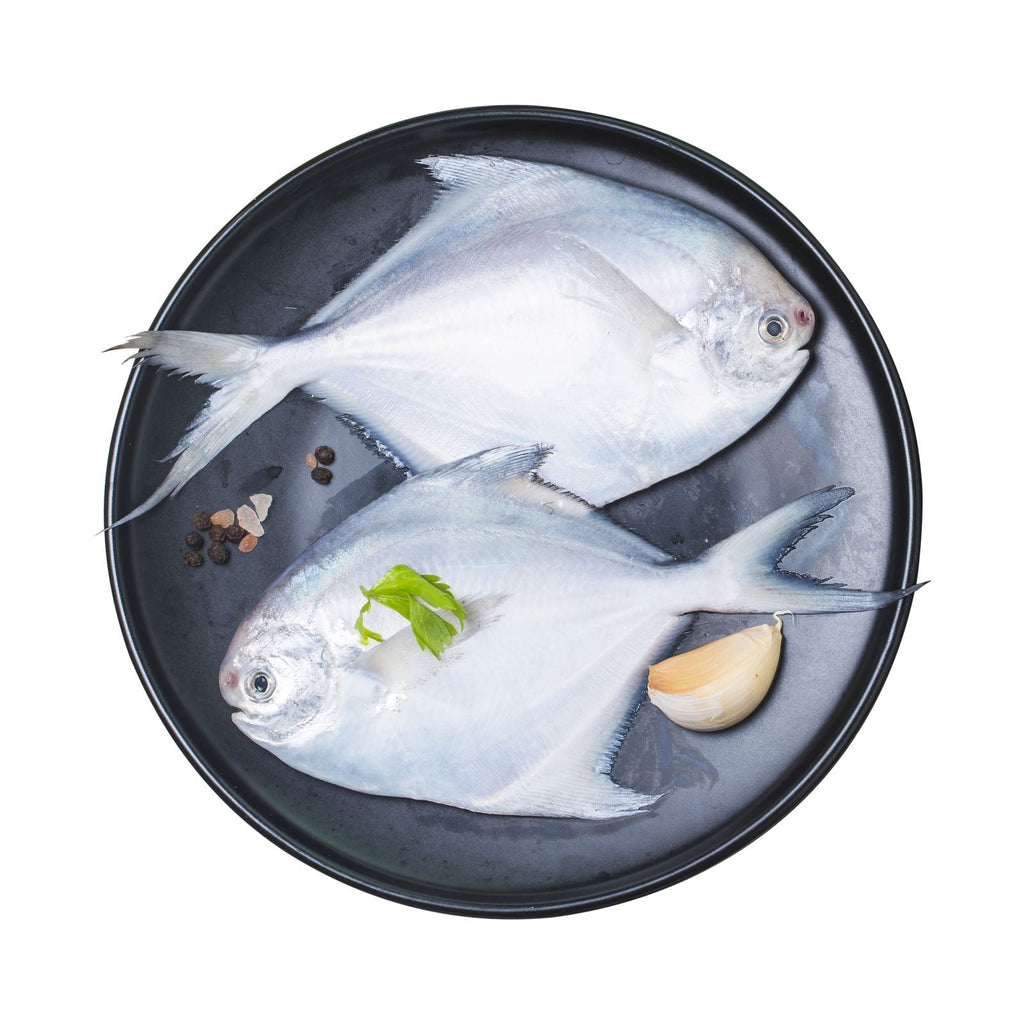 Frozen White Pomfret for Fry, Grill & Curry – Cleaned & Ready  – 1kg
