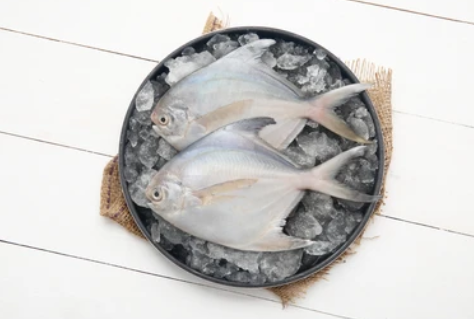 Frozen White Pomfret for Fry, Grill & Curry – Cleaned & Ready  – 1kg