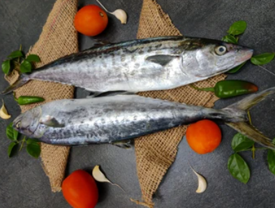King Fish (Vanjaram) Frozen Boneless  – Skinless Clean Cuts – 1kg